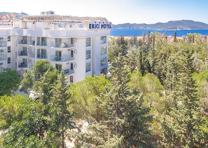 Hotel Ekici